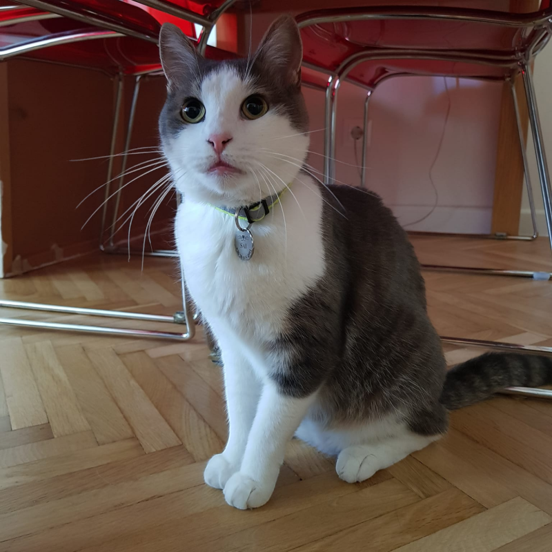 Image #2 from Ljudmila Martinova