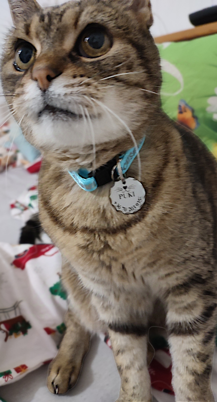 Image #1 from Hilda Agárdiné Zseni