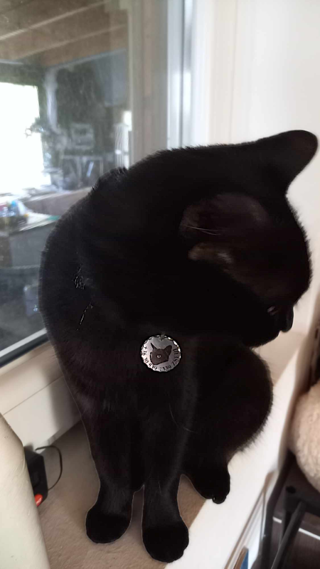 Image #2 from K. Anikó