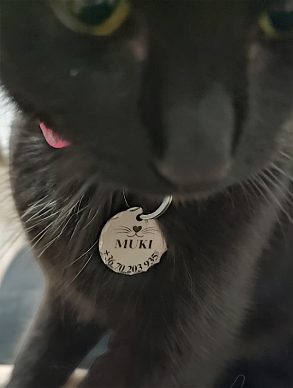 Image #2 from Hilda Agárdiné Zseni